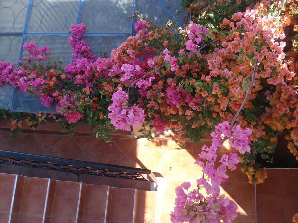 Salé Riad Marlinea מראה חיצוני תמונה
